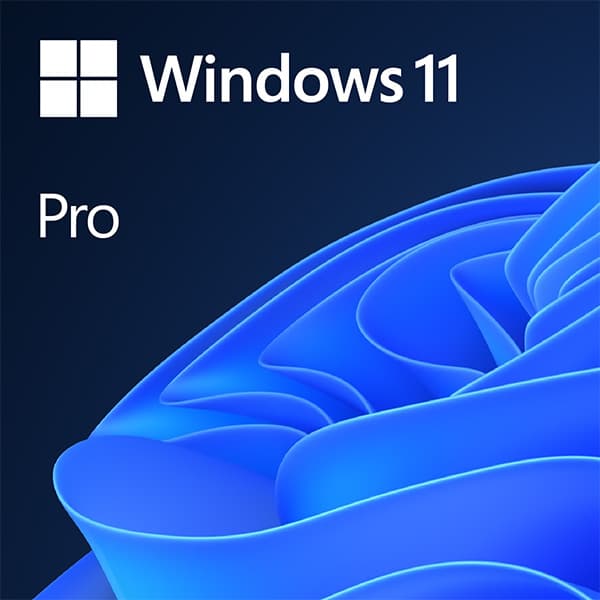 MICROSOFT WINDOWS 11 PRO 64BIT PT OEM