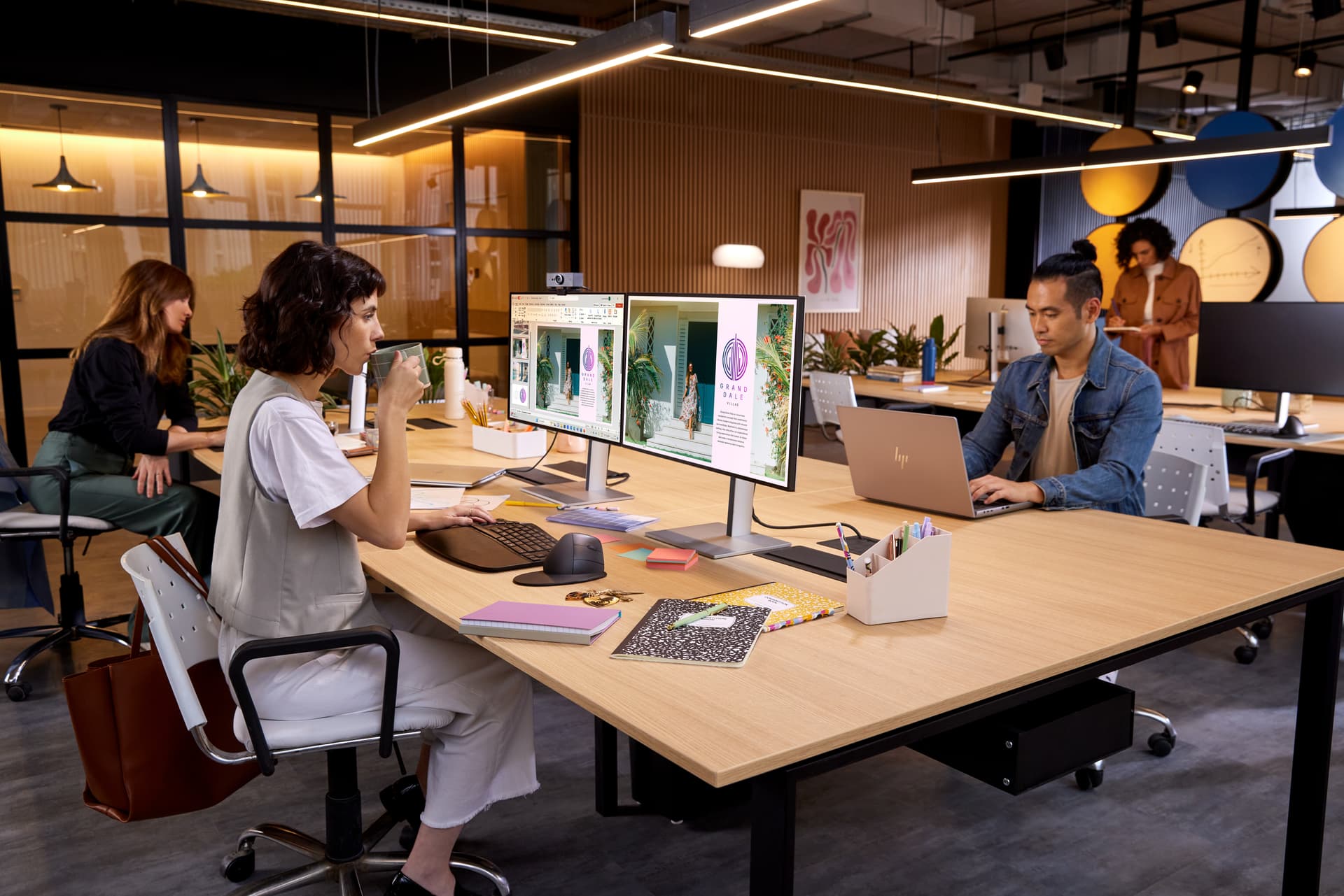 HP Rato vertical ergonómico 925 — miniatura 27