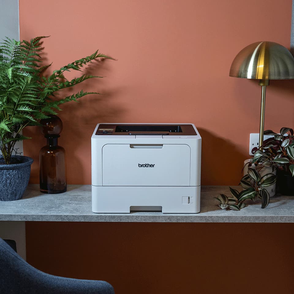Brother HL-L5210DW — miniatura 4
