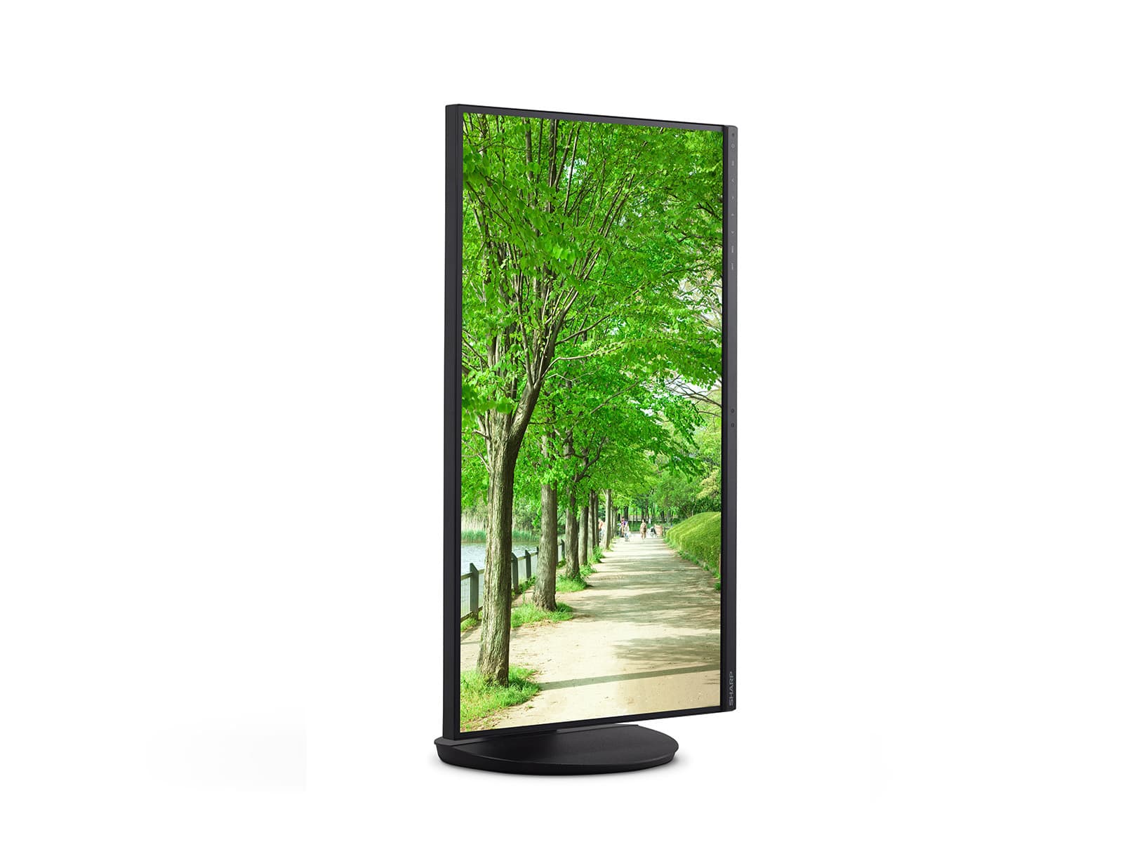 Sharp MultiSync EA272Q — miniatura 5