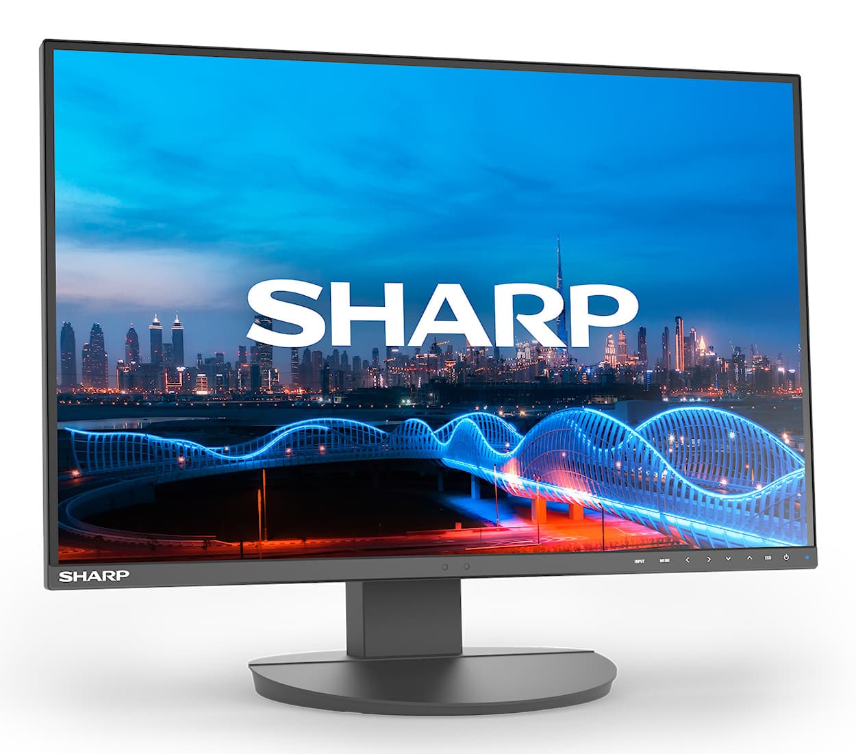 Sharp MultiSync EA241W — miniatura 2