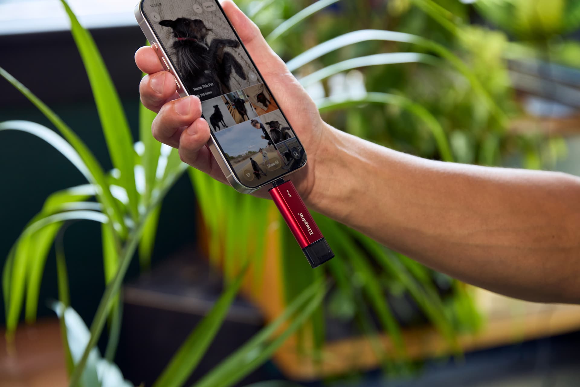 Kingston Technology Dual Portable — miniatura 13