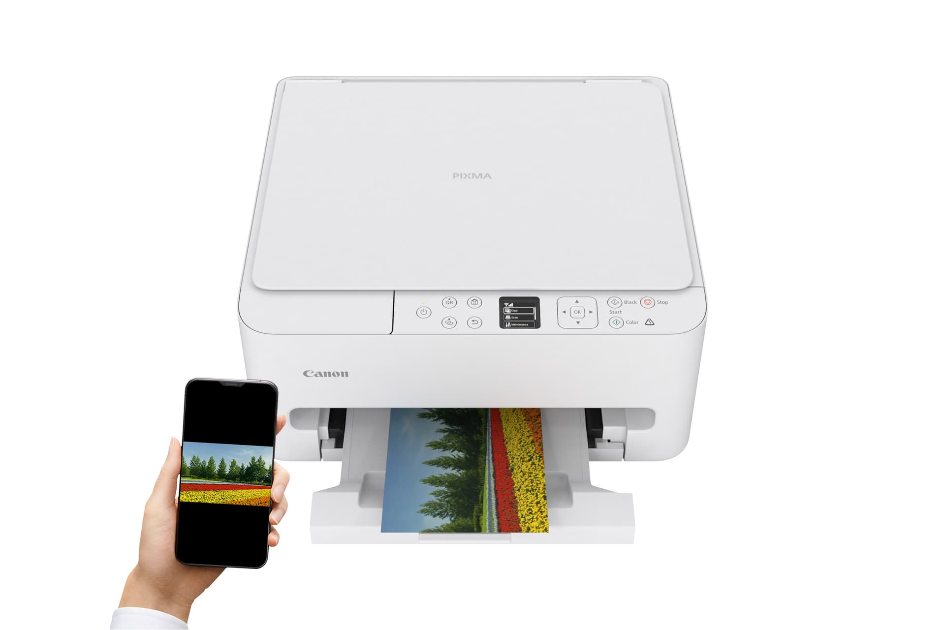 Canon PIXMA TS6550i — miniatura 11