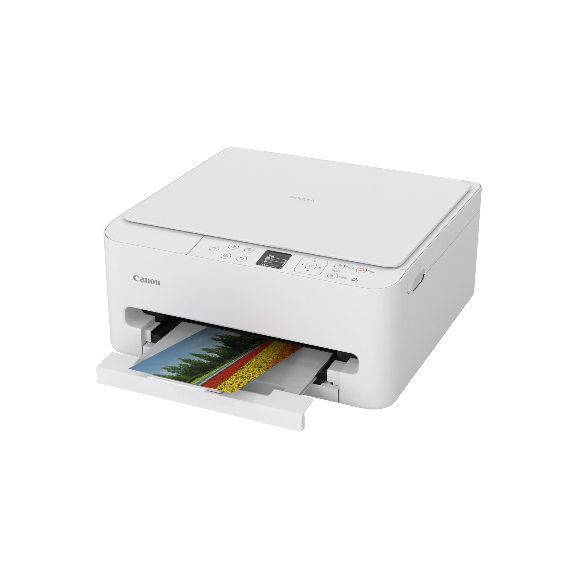 Canon PIXMA TS6550i — miniatura 5