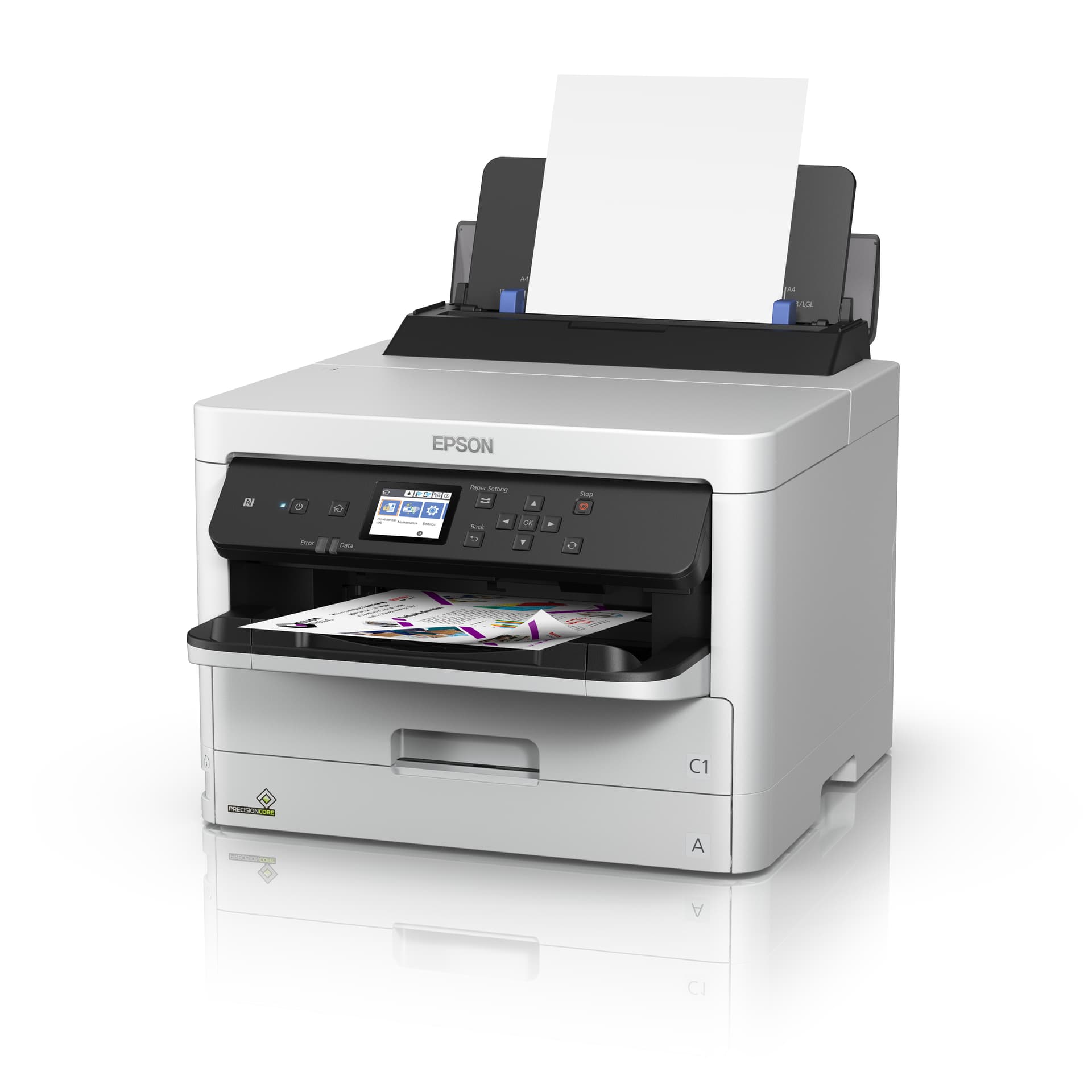 Epson DURABrite Pro — miniatura 2