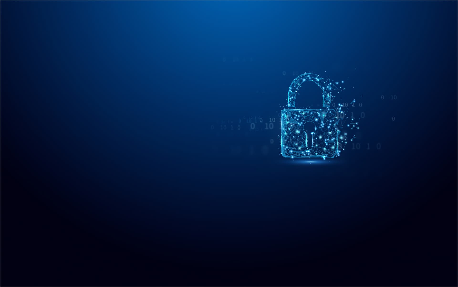 Kingston Technology IronKey Vault Privacy 50 — miniatura 5