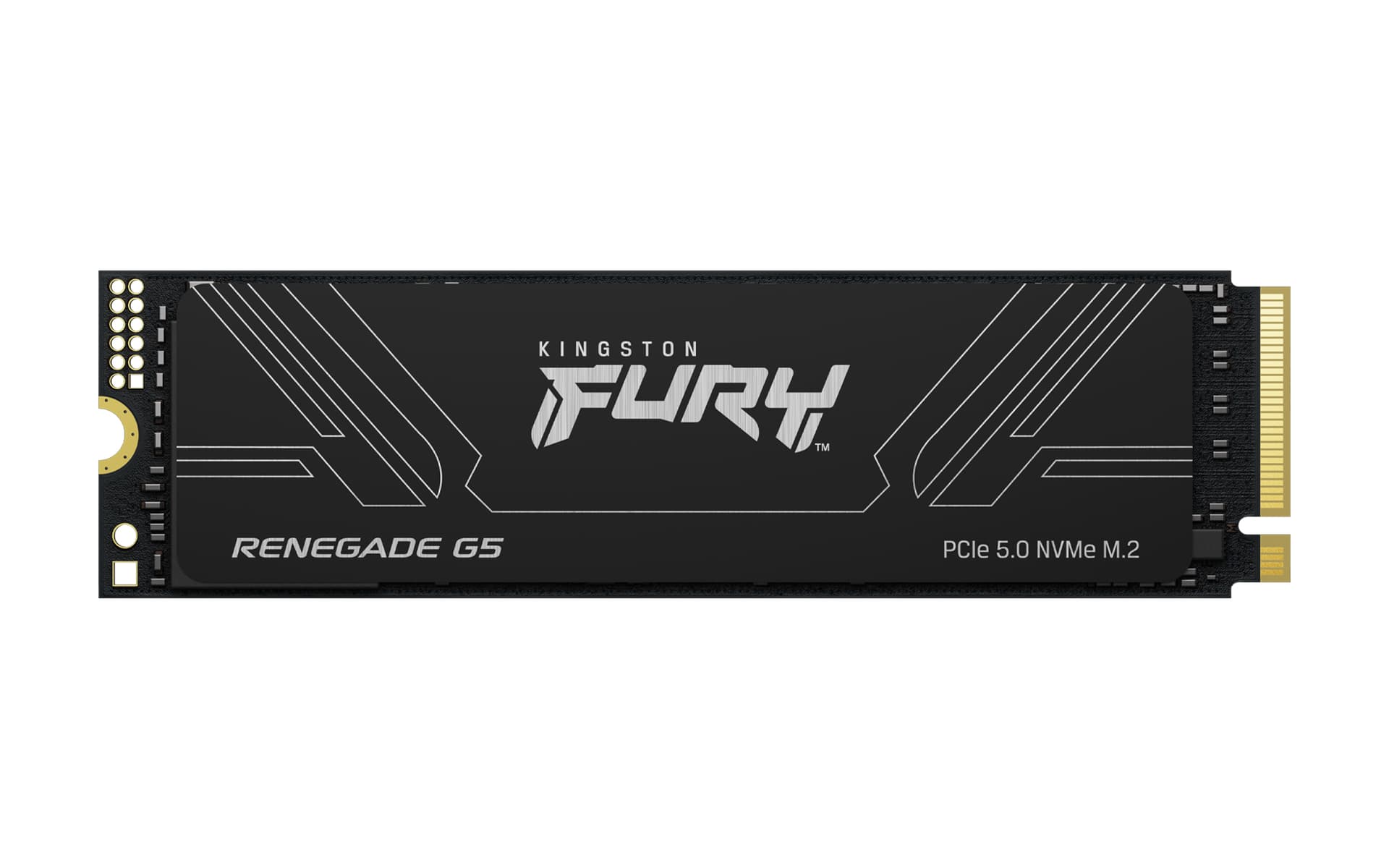 Kingston Technology FURY Renegade G5, miniatura 1