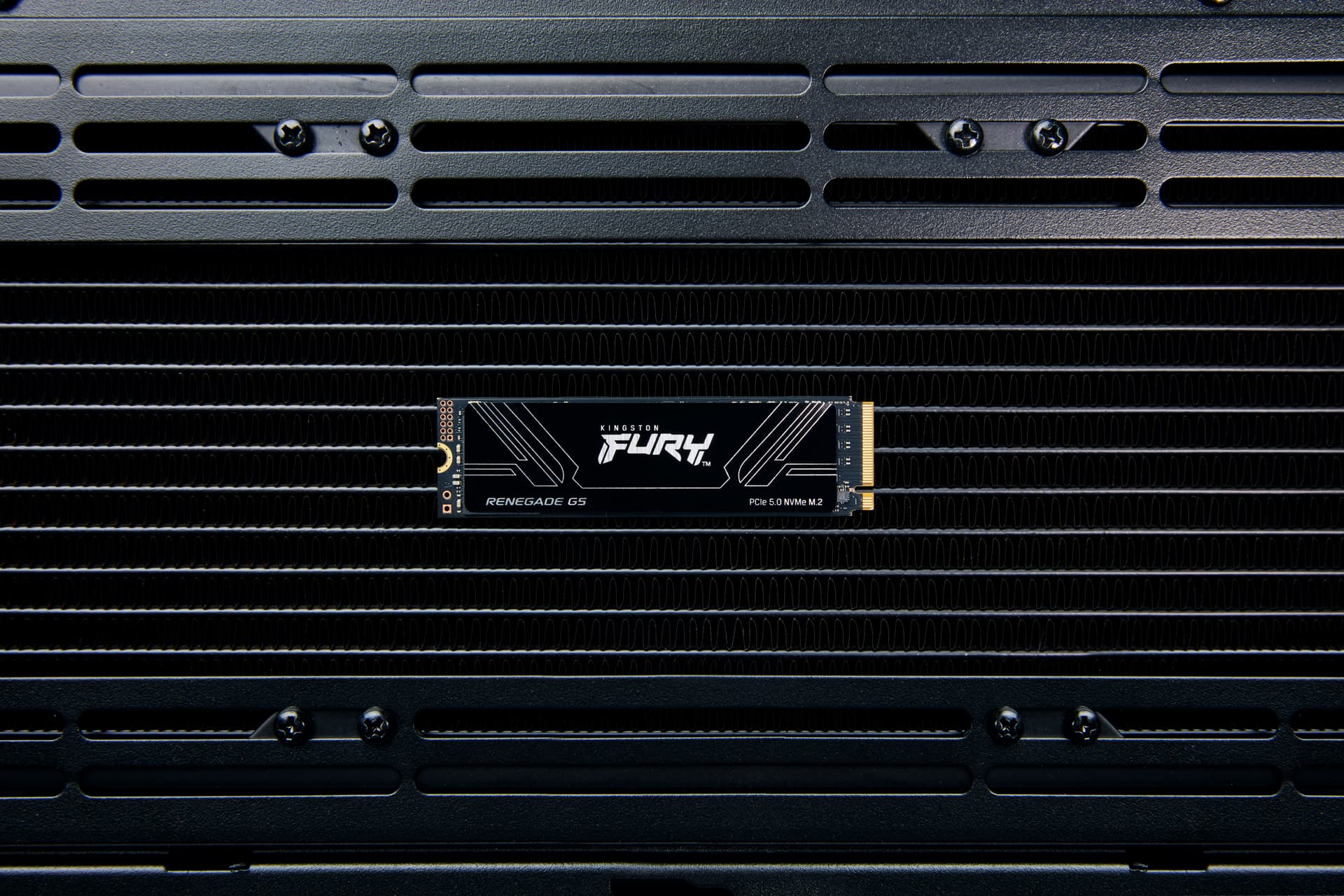 Kingston Technology FURY Renegade G5, miniatura 7