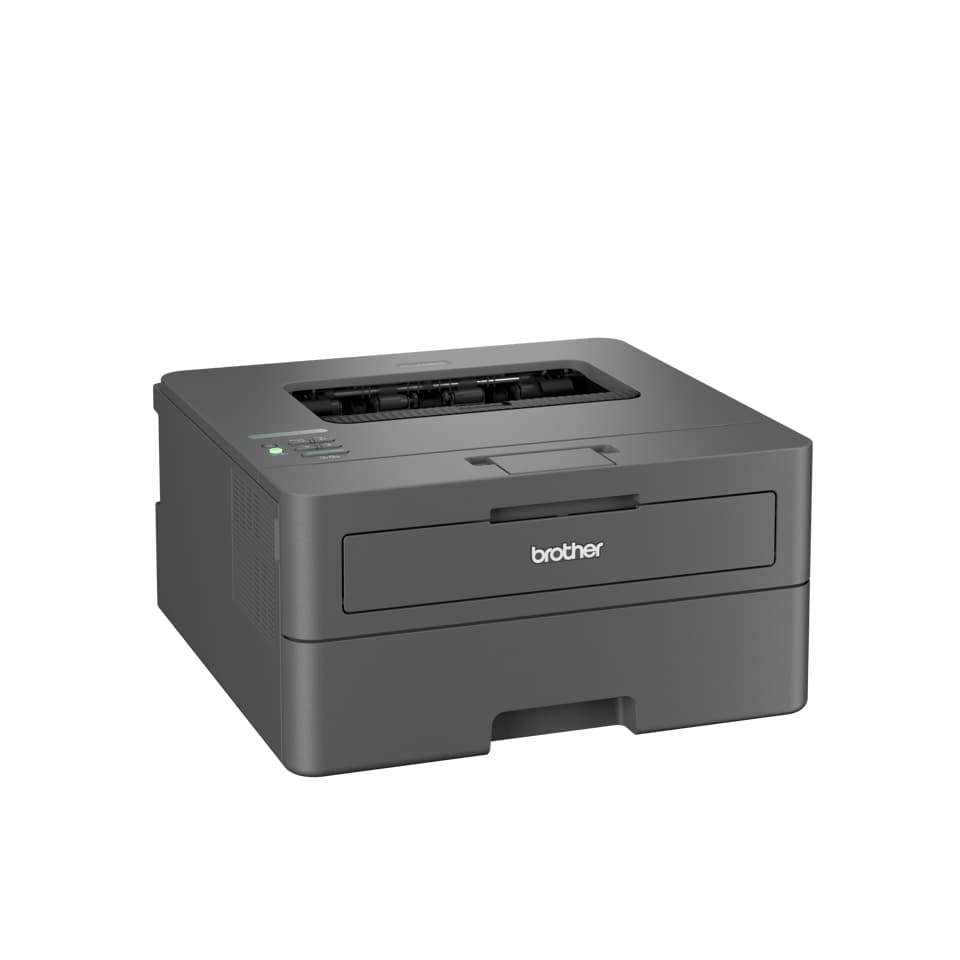 Brother HL-L2445DW — miniatura 2