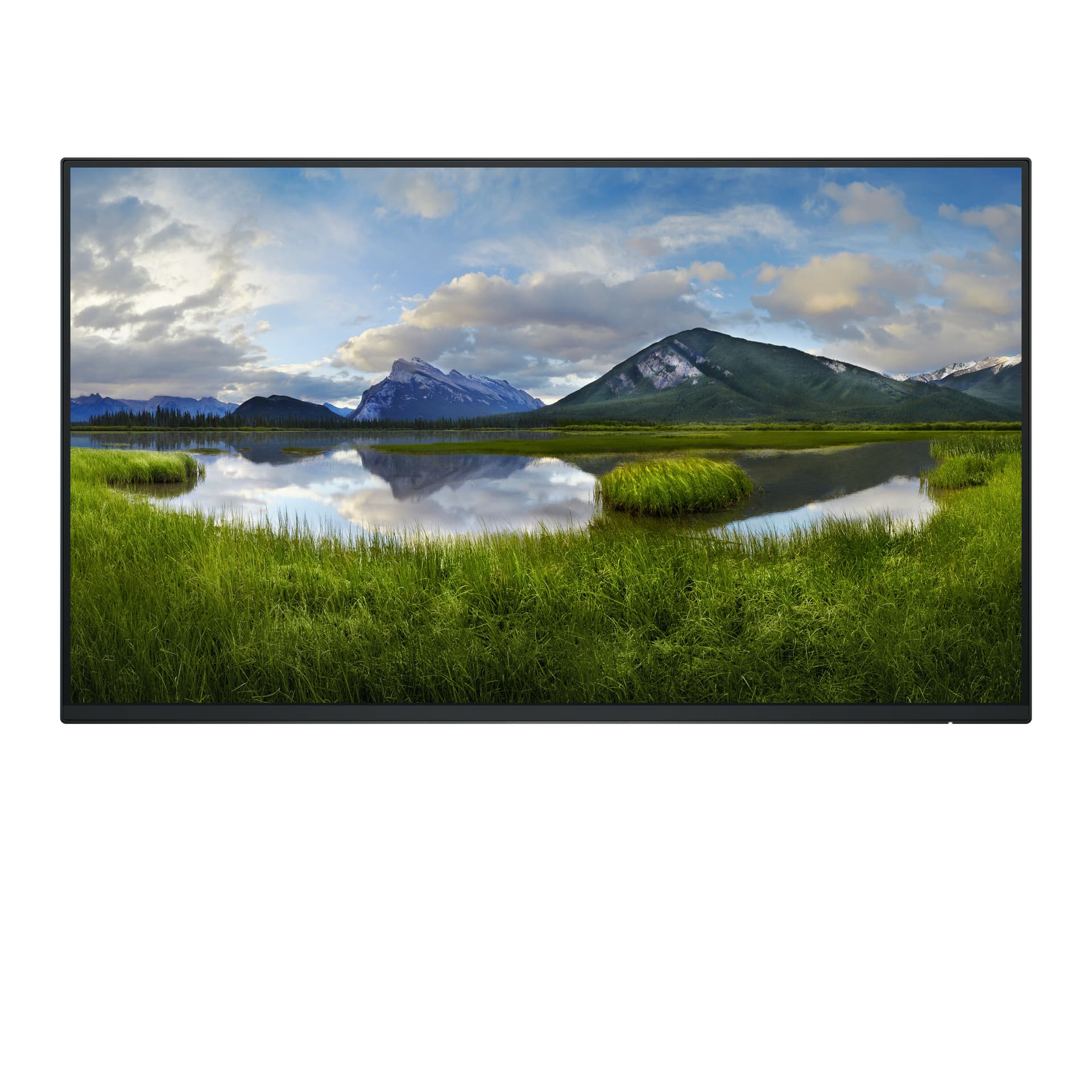 DELL Pro Plus P2425H_WOST