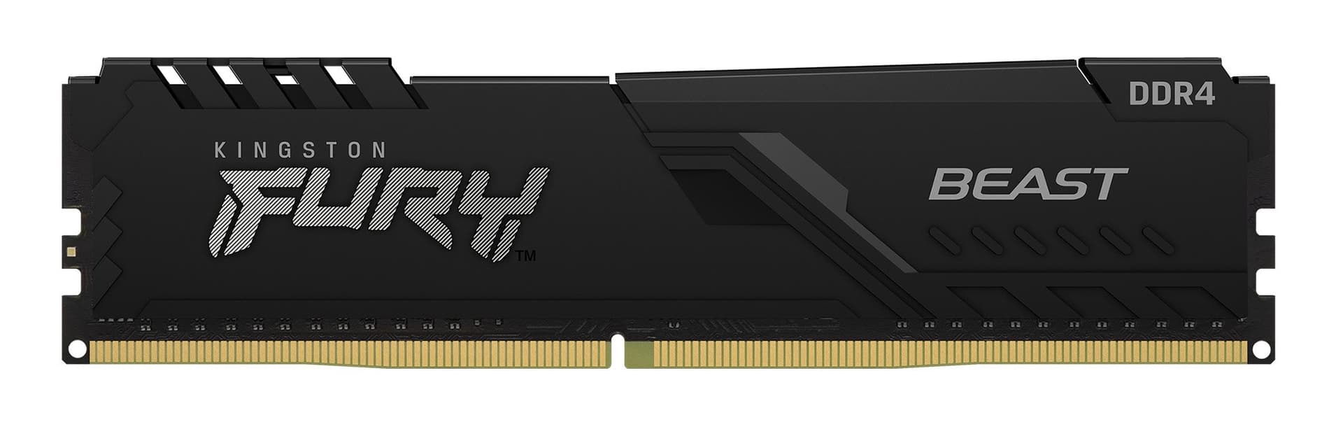 Kingston Technology FURY Beast