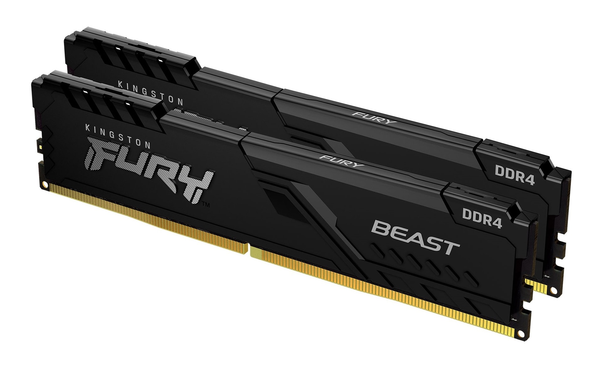 Kingston Technology FURY Beast, imagem 1