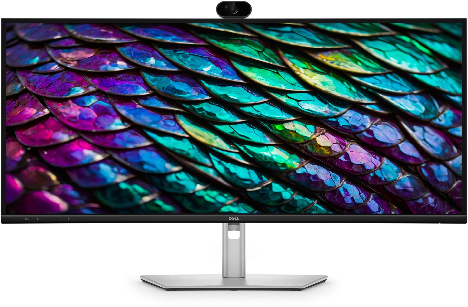 DELL Pro P P3426WEB — imagem 1