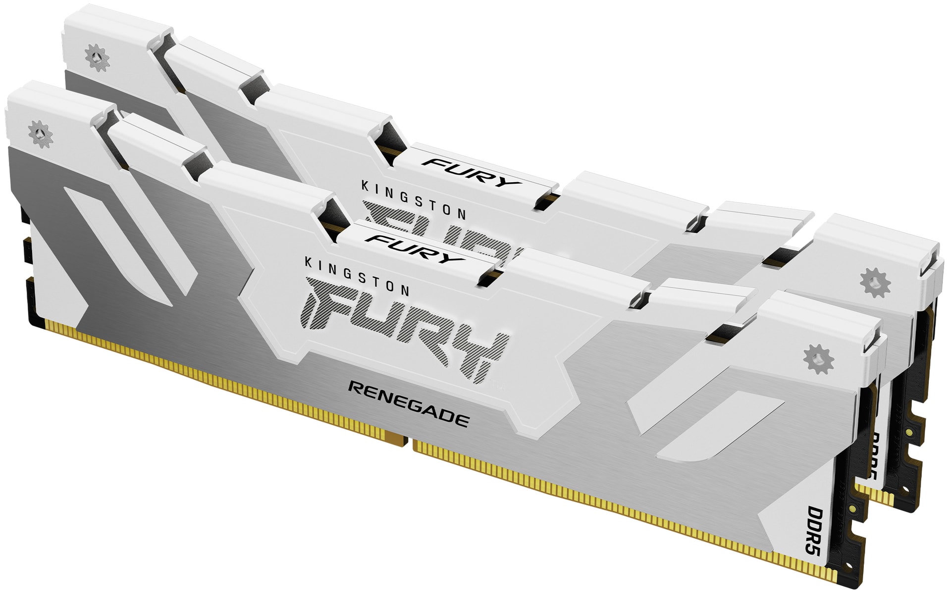 Kingston Technology FURY Renegade, imagem 1