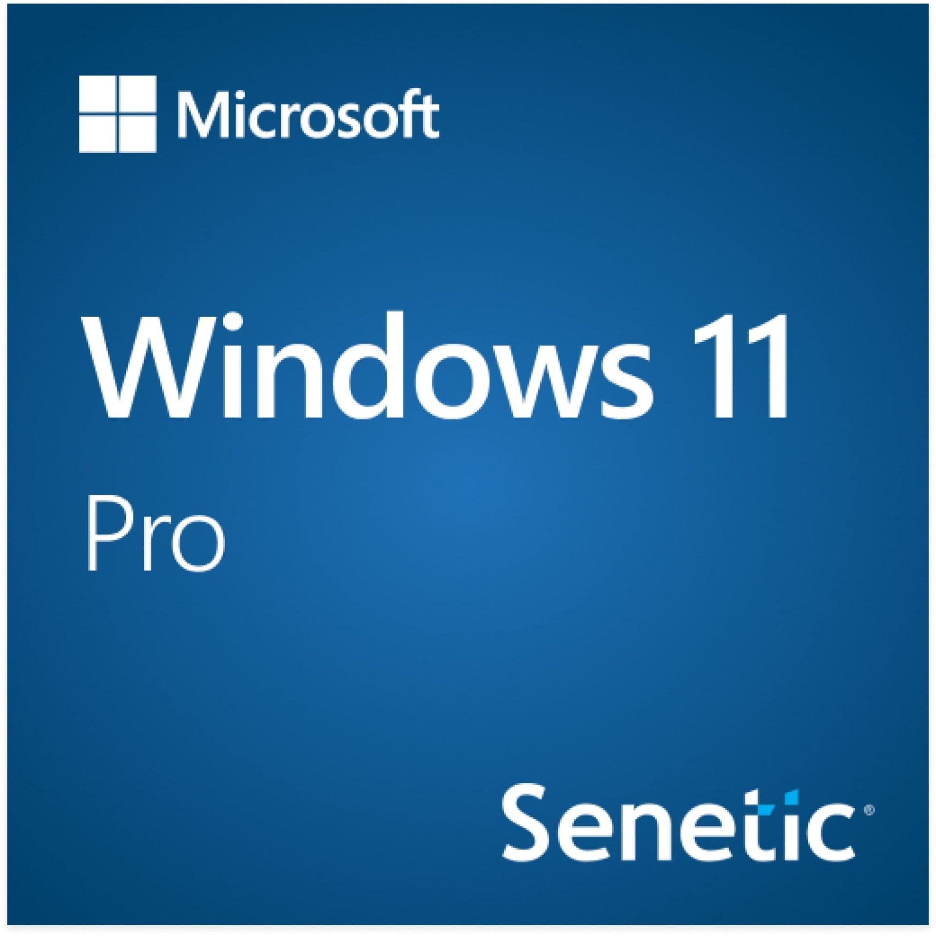Windows 11 Pro - Licença - 1 licença - OEM - DVD - 64-bit