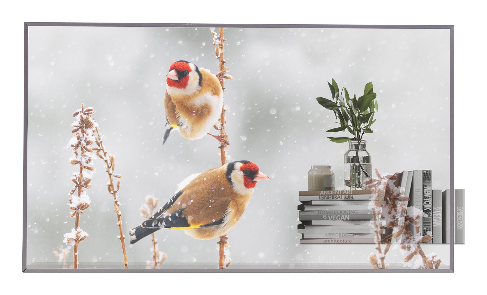 LG 55EW5P-M — imagem 1