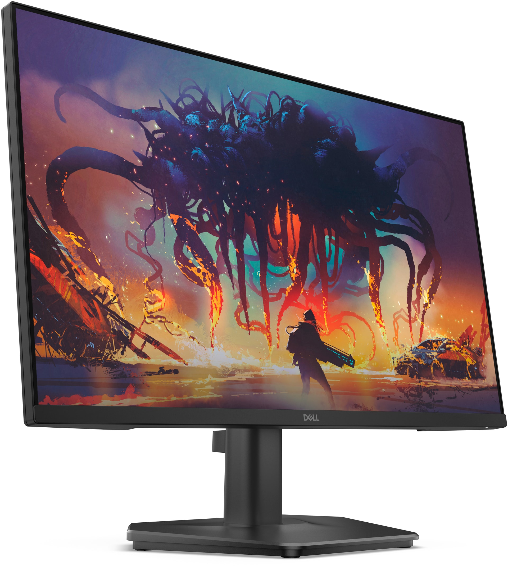 DELL SE2425HG — imagem 1