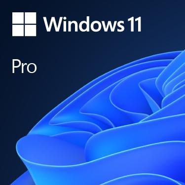 MS DSP Win Pro 11 64Bit Eng Intl 1pk OEM DVD