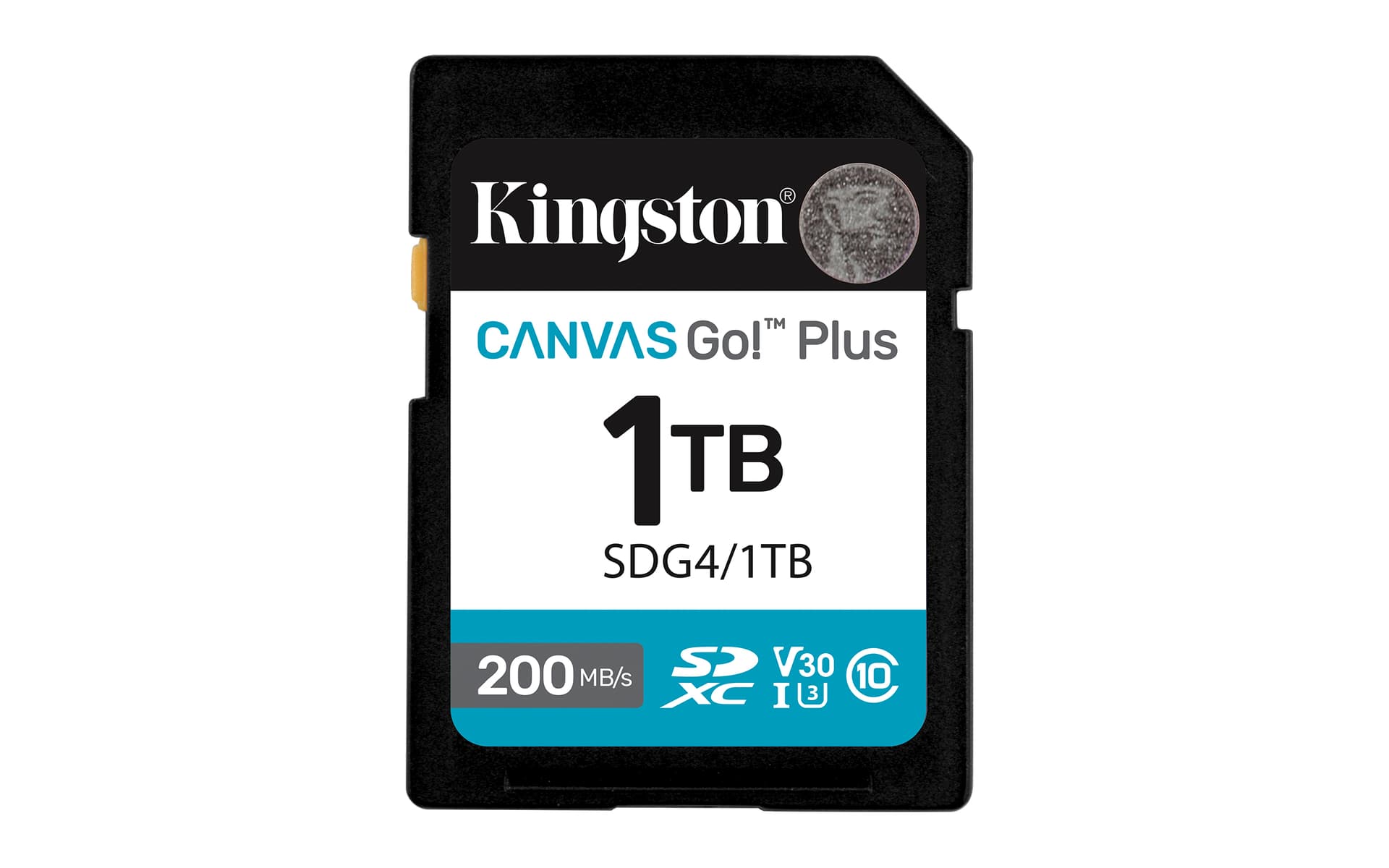 Kingston Canvas Go! Plus - Cartão de memória flash - 1 TB - Video Class V30 / UHS-I U3 / Class10 - SDXC UHS-I