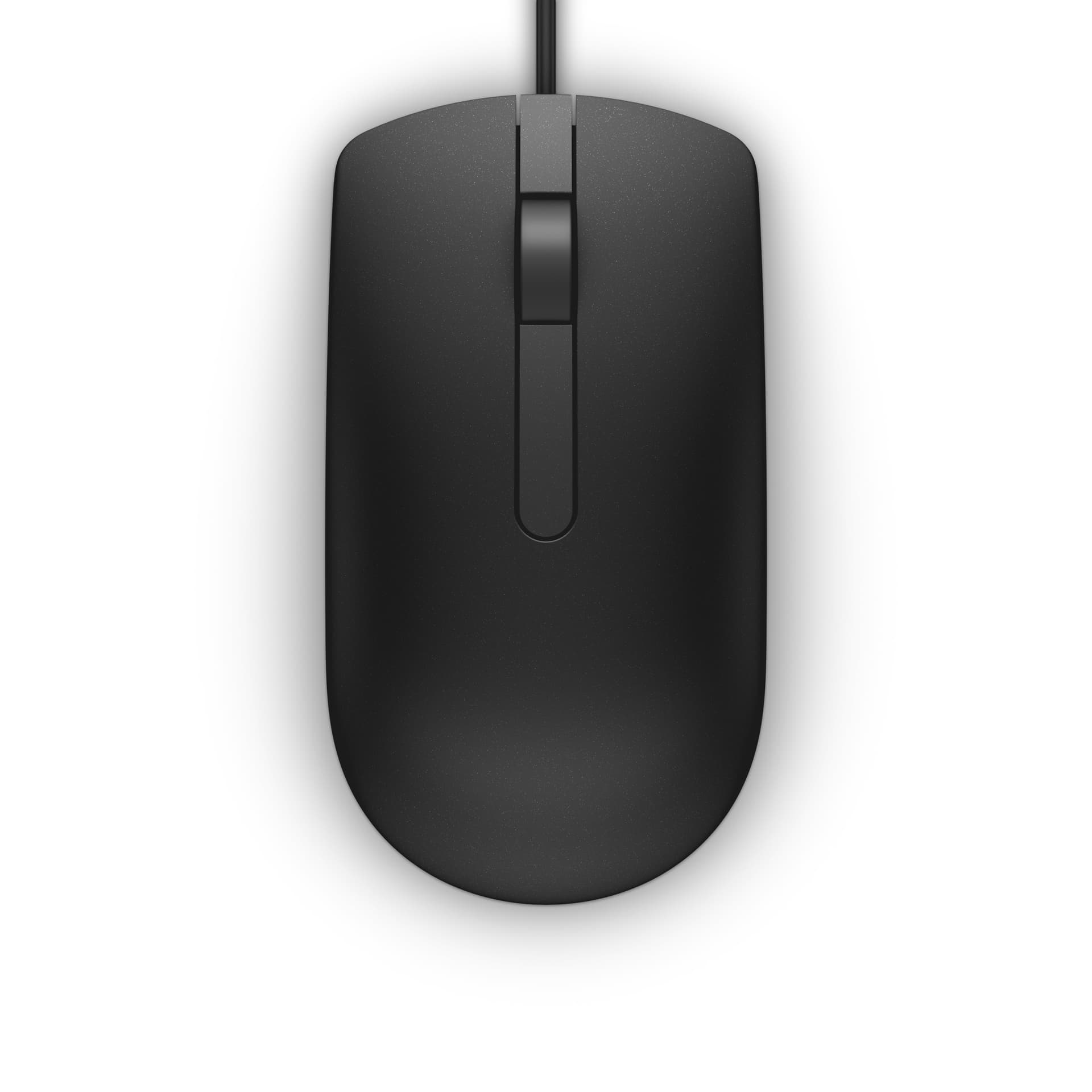 Dell MS116 - Rato - óptico - 2 botões - com cabo - USB - preto - retalho